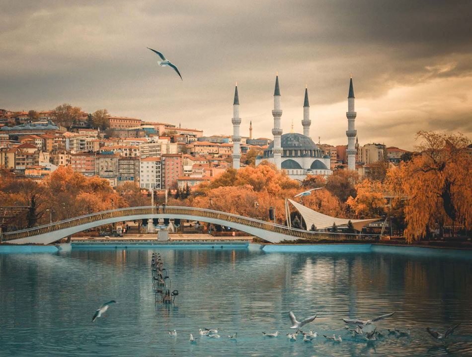 ankara dijital pazarlama ajansı