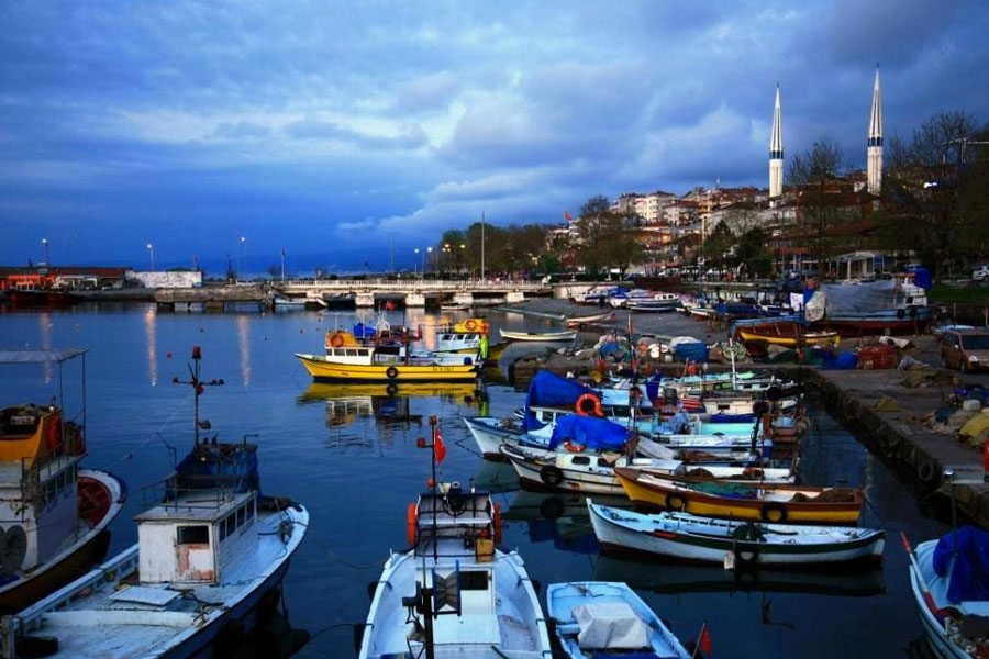 düzce web tasarım