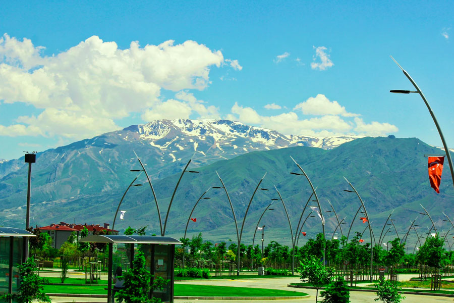 erzincan web tasarım