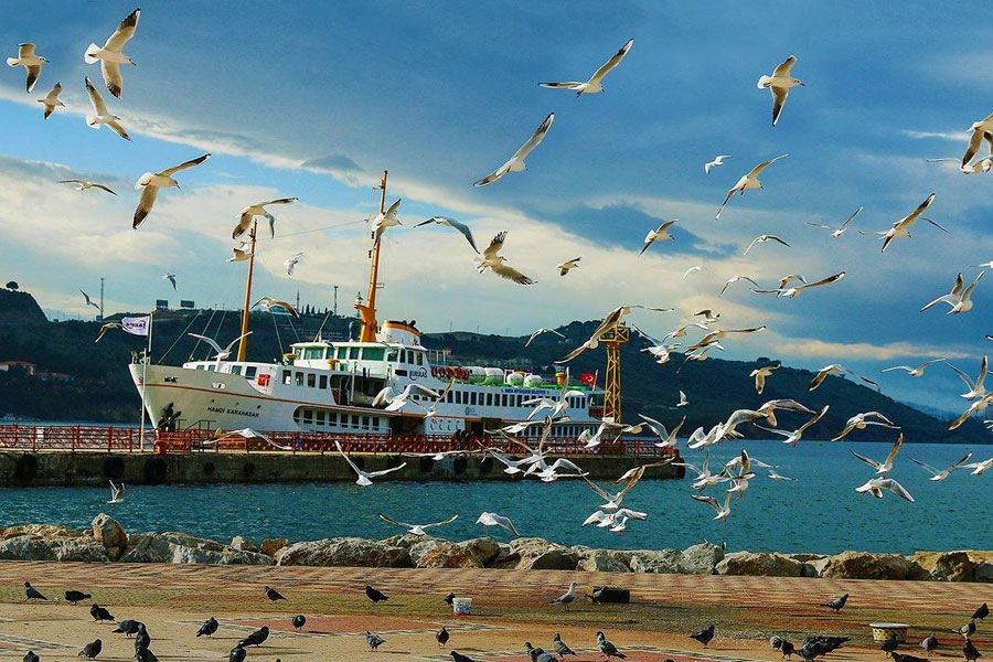 gemlik web tasarım