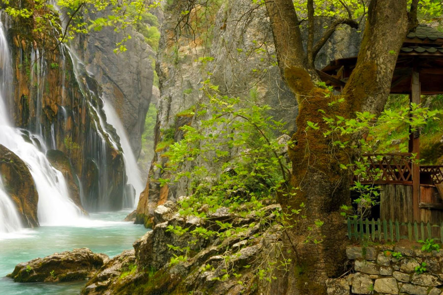 gündoğmuş web tasarım