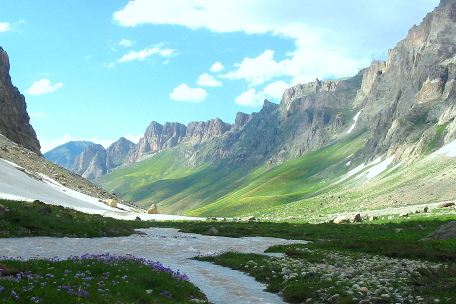 hakkari web tasarım