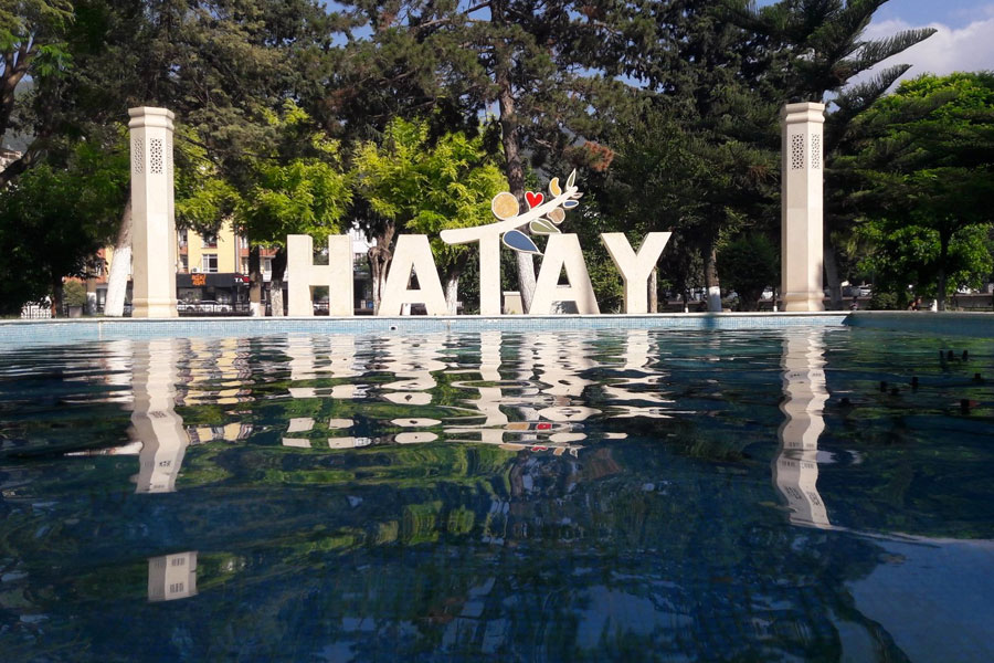 hatay web tasarım