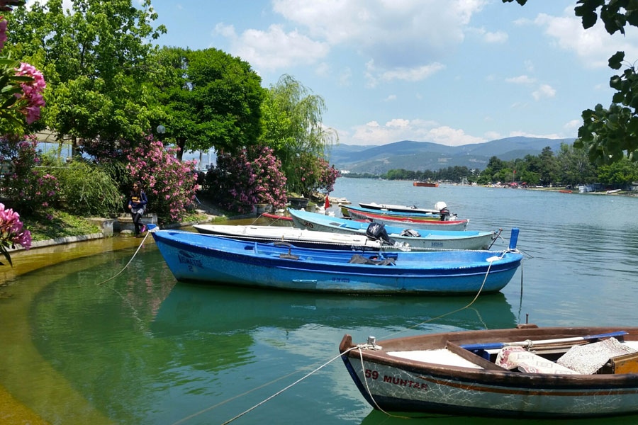 iznik web tasarım
