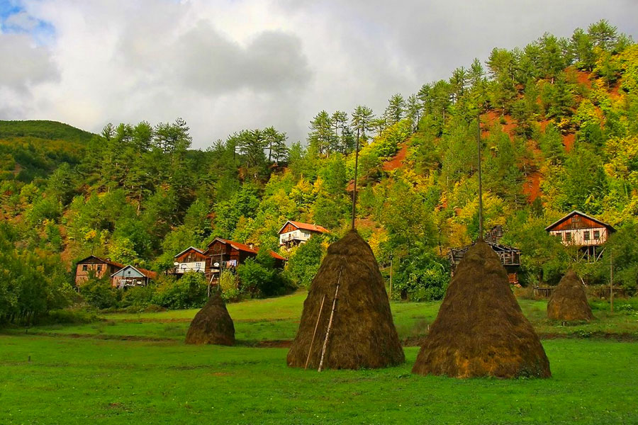 kastamonu web tasarım