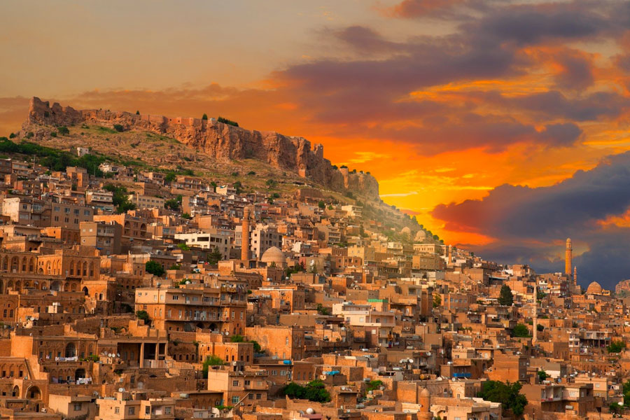 mardin web tasarım