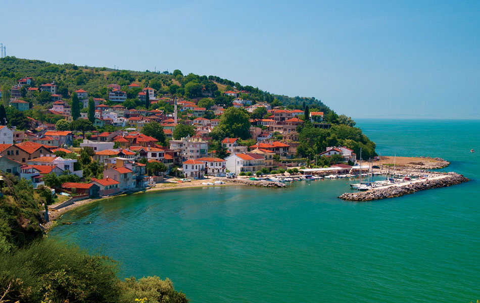 mudanya web tasarım
