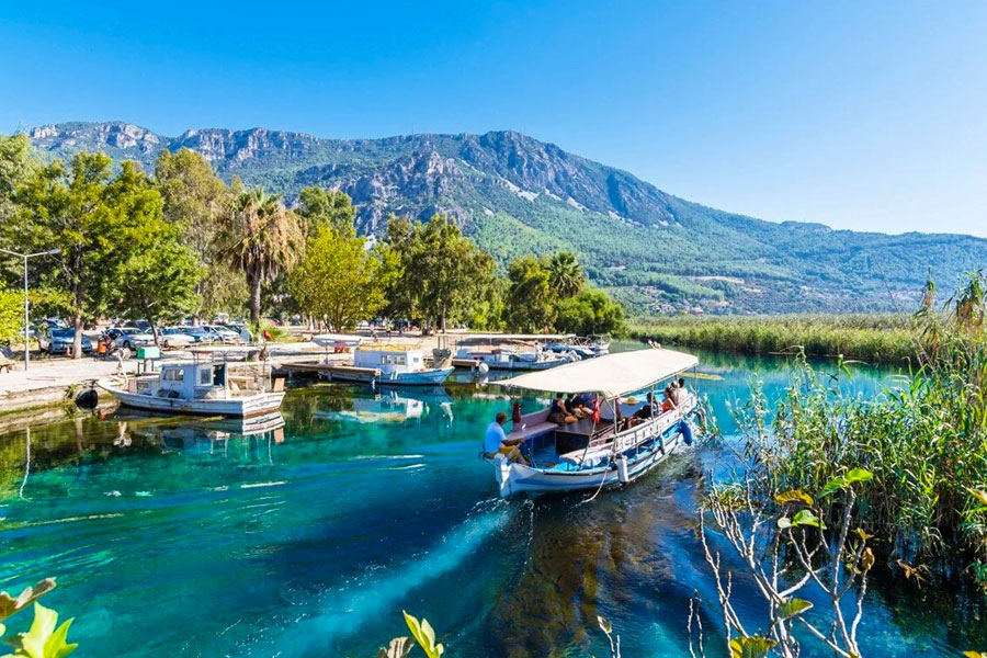 muğla web tasarım
