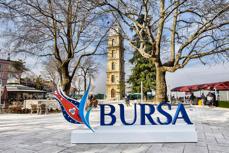 nilüfer web tasarım