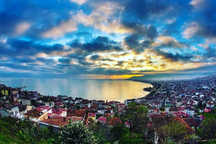 ordu web tasarım