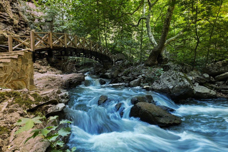 orhaneli web tasarım