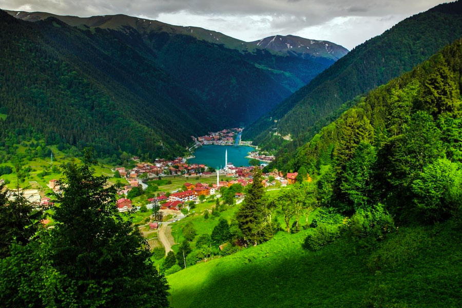 trabzon web tasarım