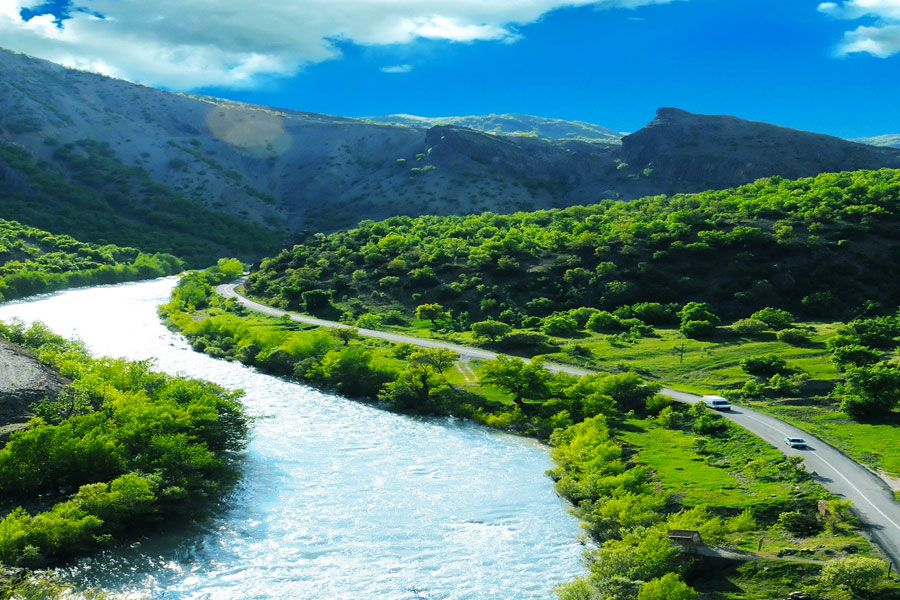 tunceli web tasarım
